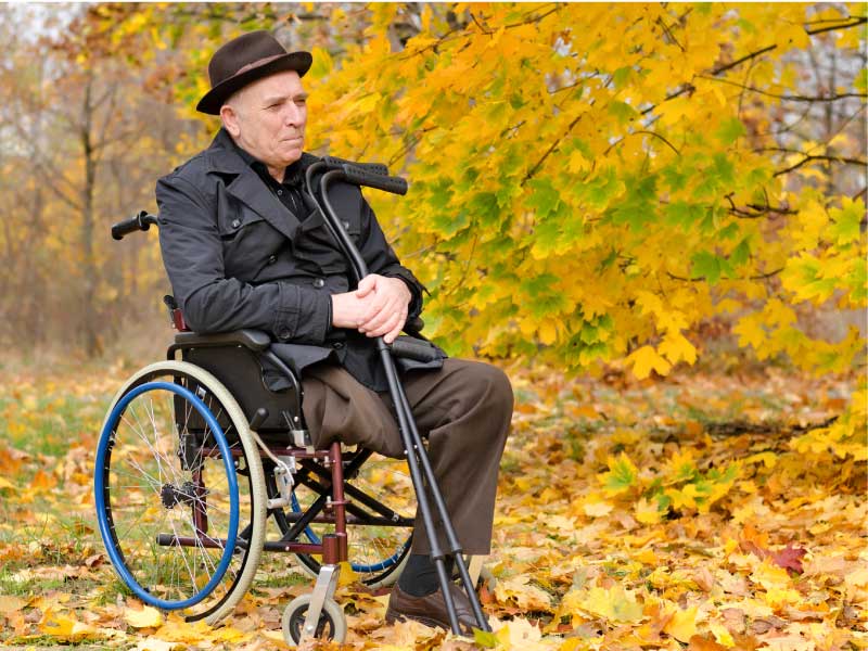 elderly man in wheelchair with fall leaves